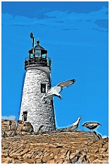 Wood Island Light is a Nesting Area for Seagulls - Digital Paint